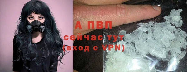 стаф Балахна